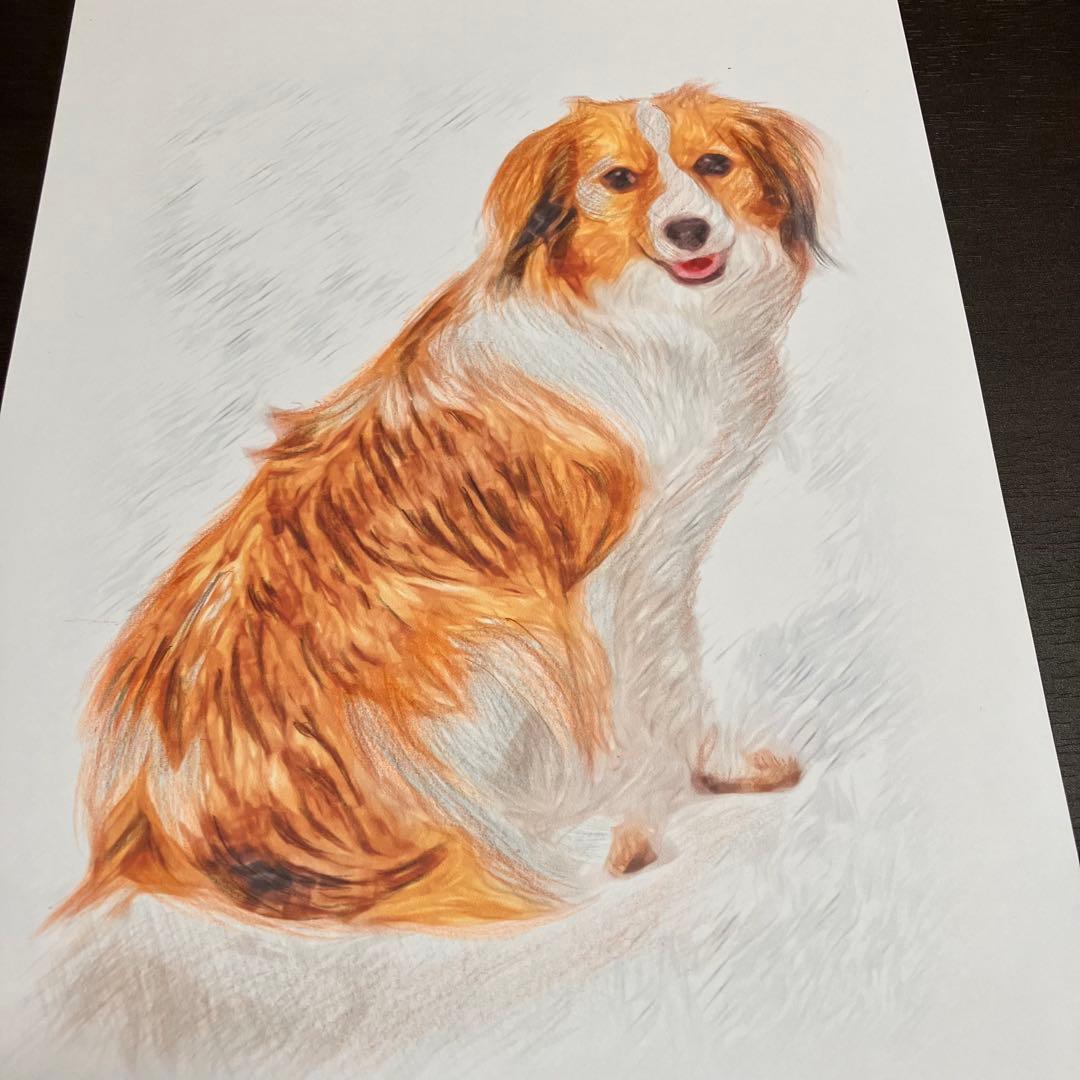 【コーイケルホンデュエ成犬】額装品　額縁寸法32.7㎝×24.0㎝×1.5㎝