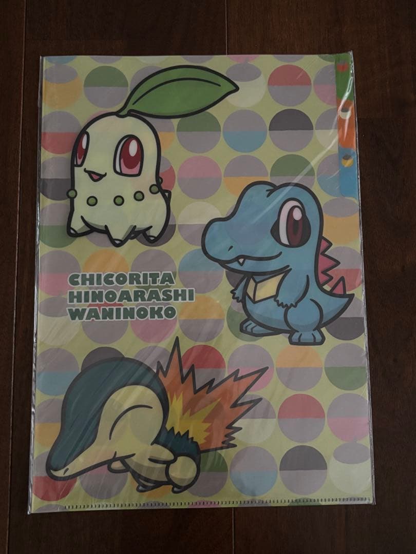 ポケットモンスター クリアファイル 5枚セット