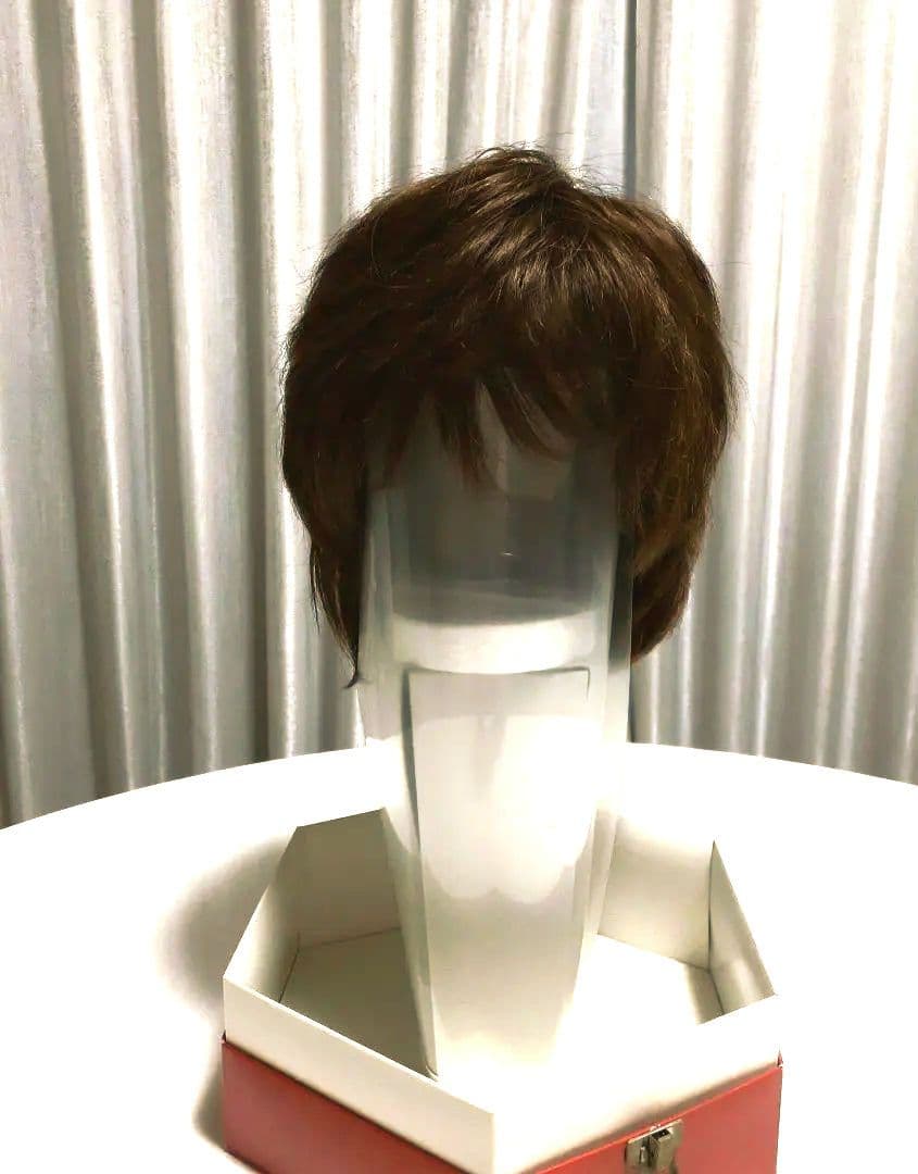 フルウィッグショート小さめ中古品