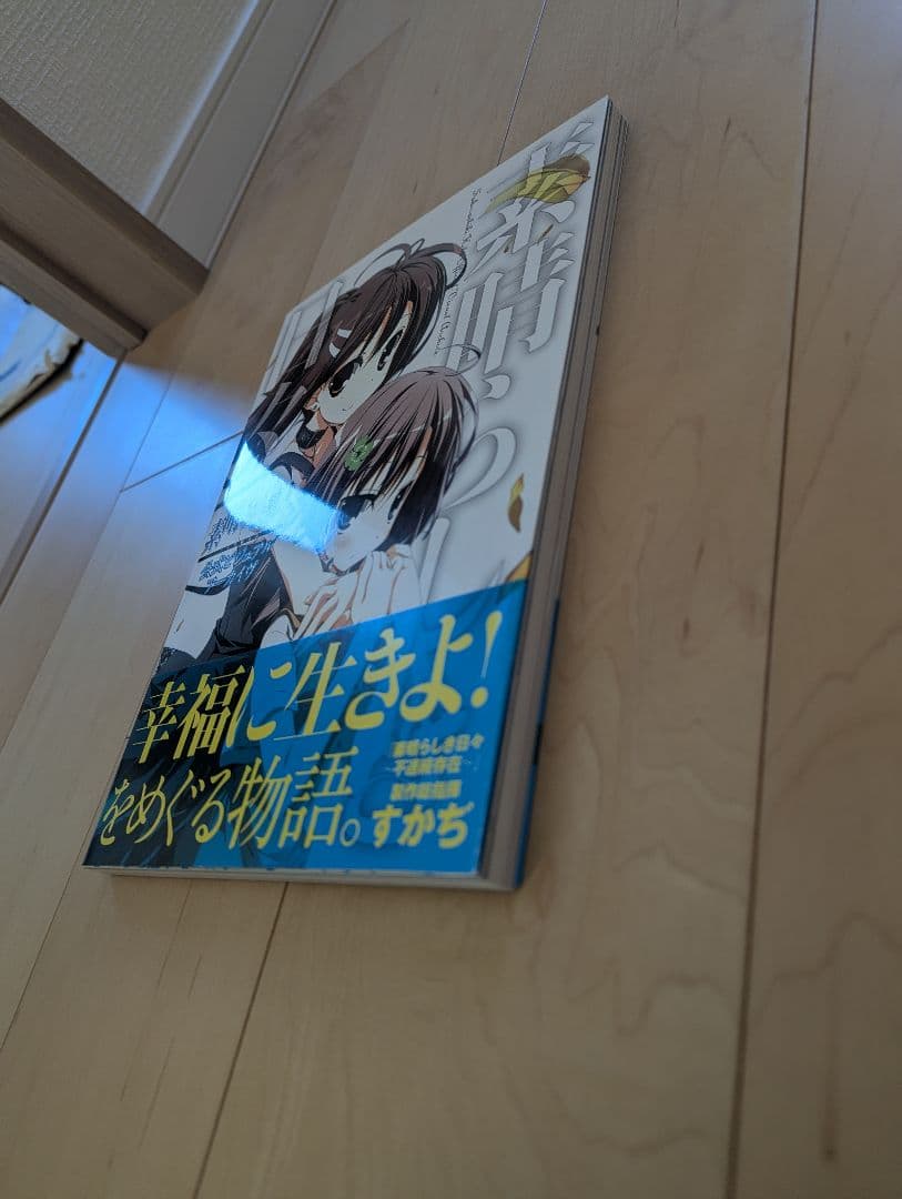 素晴らしき日々～不連続存在～公式ビジュアルアーカイヴ　ケロQ