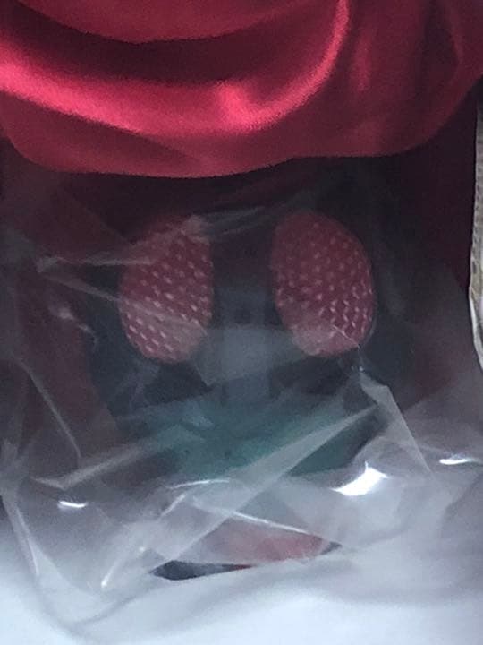 英雄烈伝　仮面ライダー1号　全高60cm