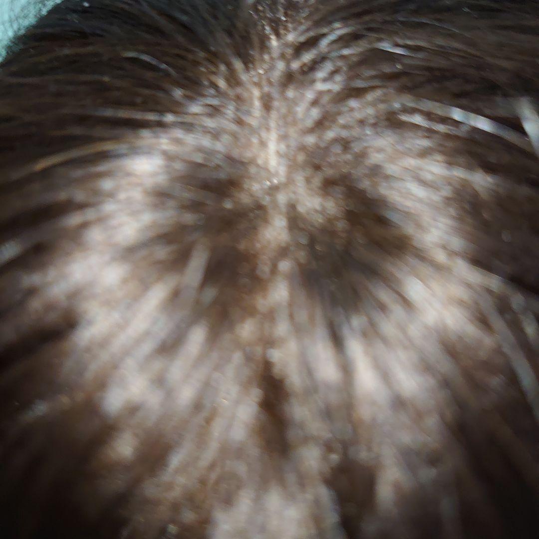 ダークブラウン ショートウィッグ