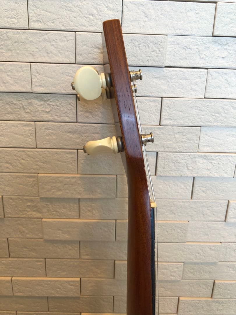 Famous FU-120P ソプラノウクレレ ソフトケース付き