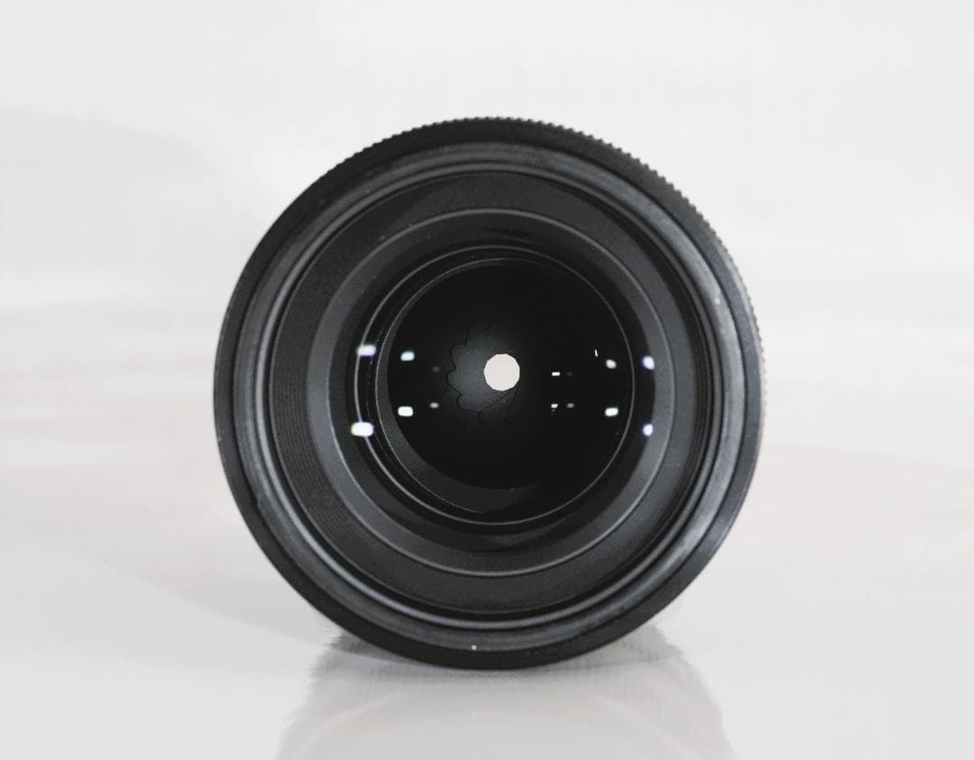 SONY ソニー FE 100mm F2.8 STF GM OSS