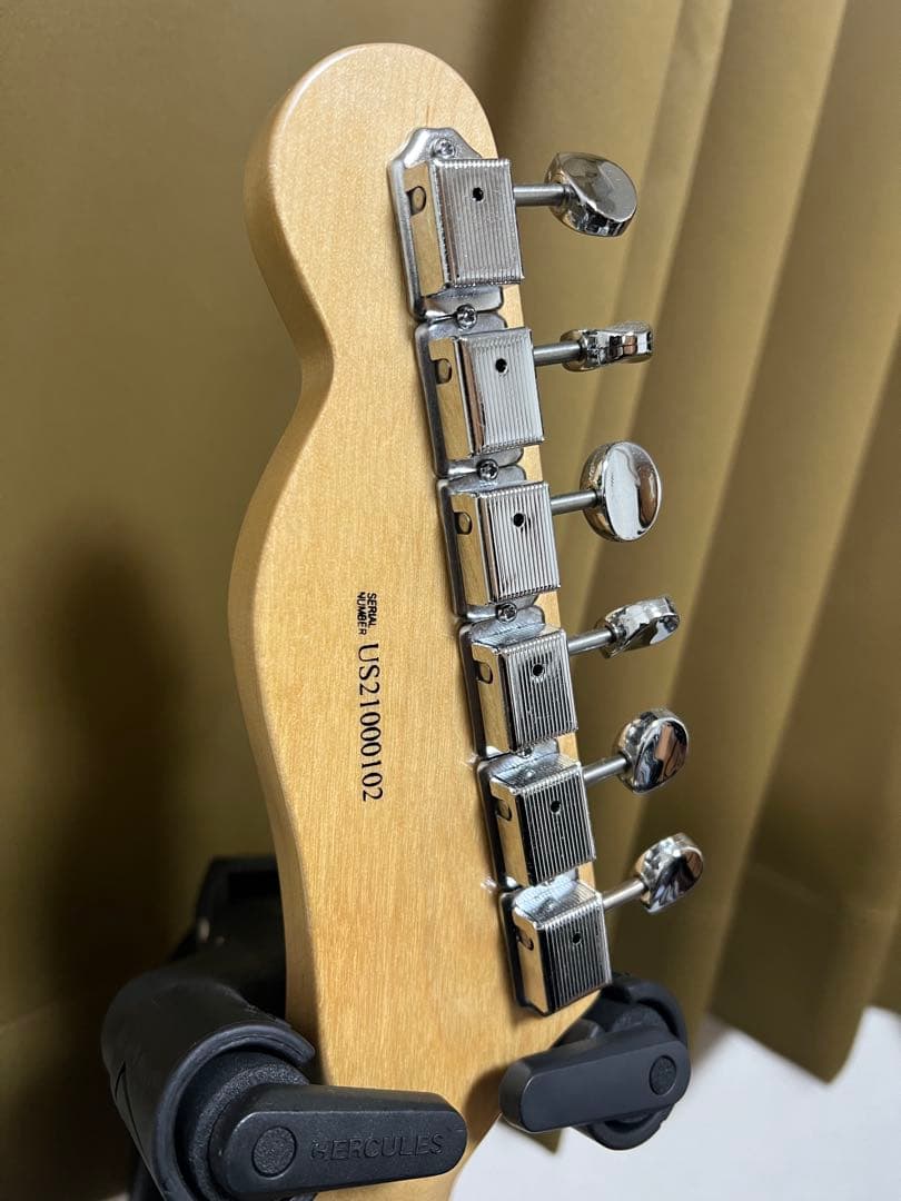 Telecaster Red Paisley（テレキャスター ペイズリー）