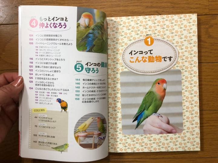 ☆ インコ　ケージ　ヒーター　オモチャ　本　色々スターターセット
