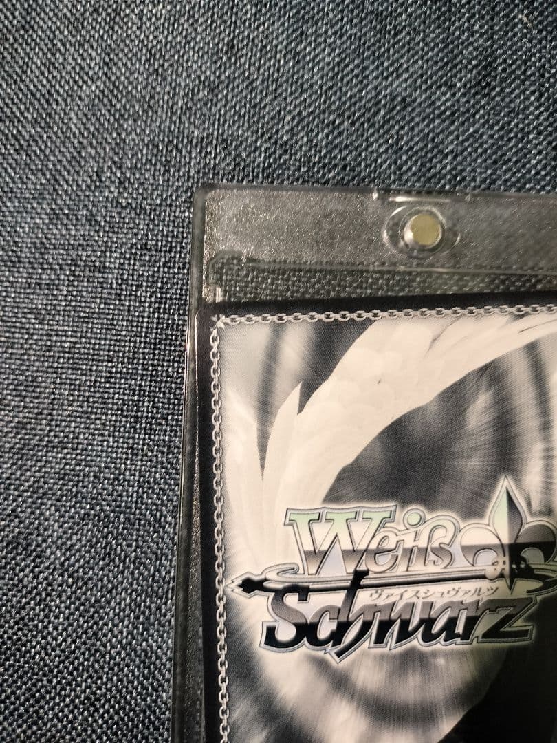 ヴァイス富士見ファンタジア文庫vol.2 主従を越えた愛 リアス　SEC