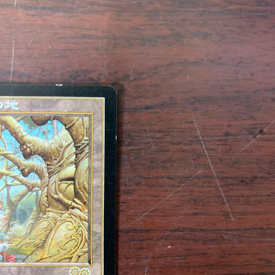 ガイアの揺藍の地　マジックザギャザリング　伝説の土地