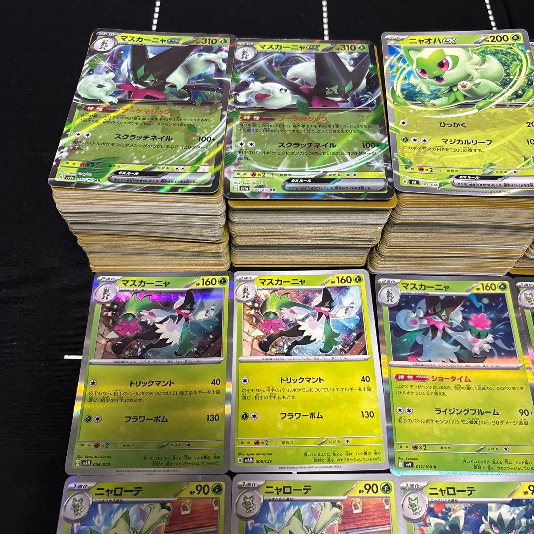 【約1000枚】ポケモンカード　ニャオハ　ニャローテ　マスカーニャ大量セット