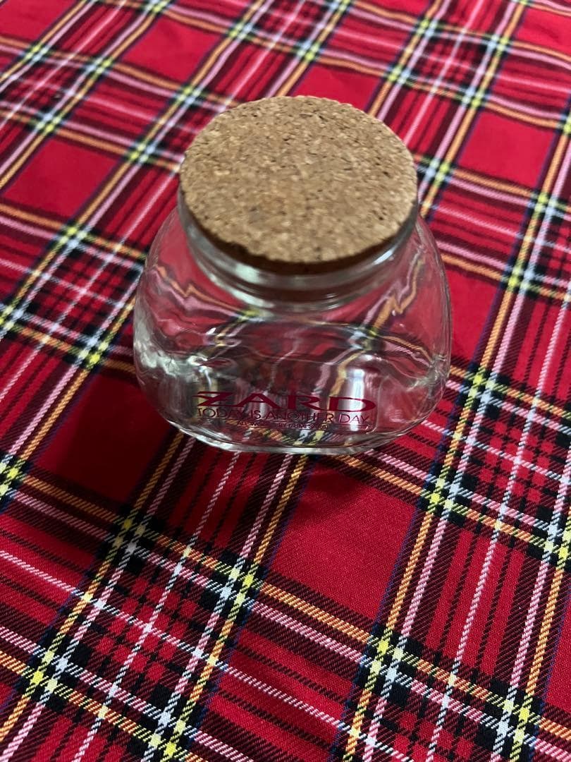 ◎レア◎ZARD(坂井泉水)◎TODAY IS ANOTHER DAY◎小瓶◎