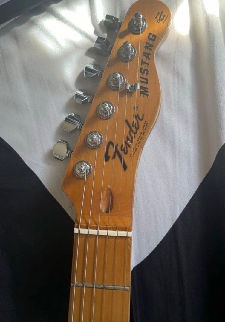 カ*オ様 テレキャスター　ダノプロ　レリックギター