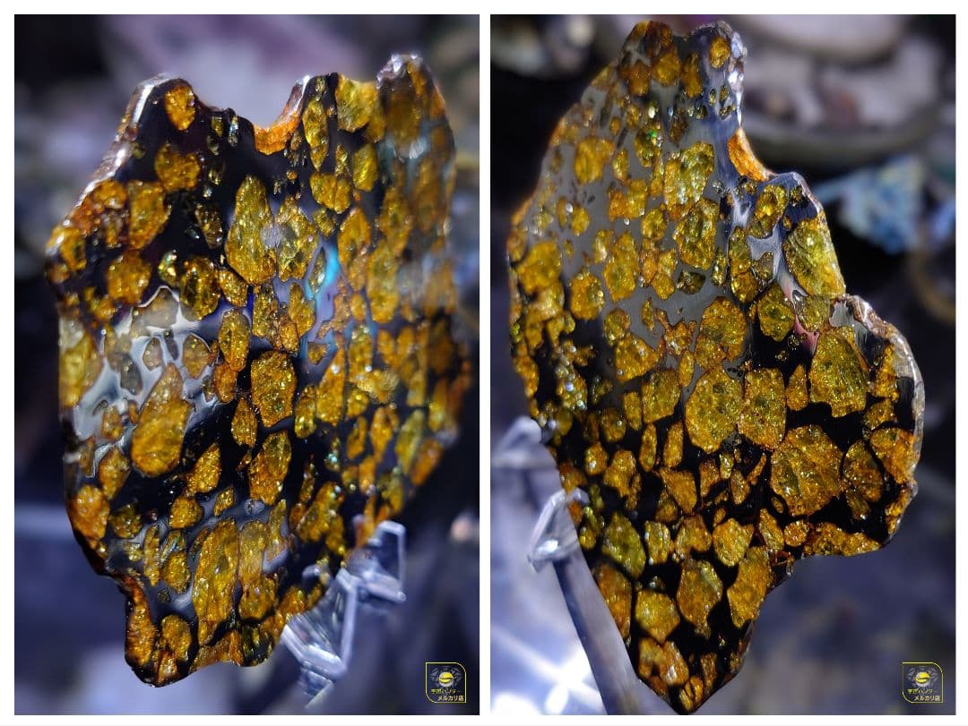 ★77.24g イミラック パラサイト 隕石 Imilac⭐⭐⭐