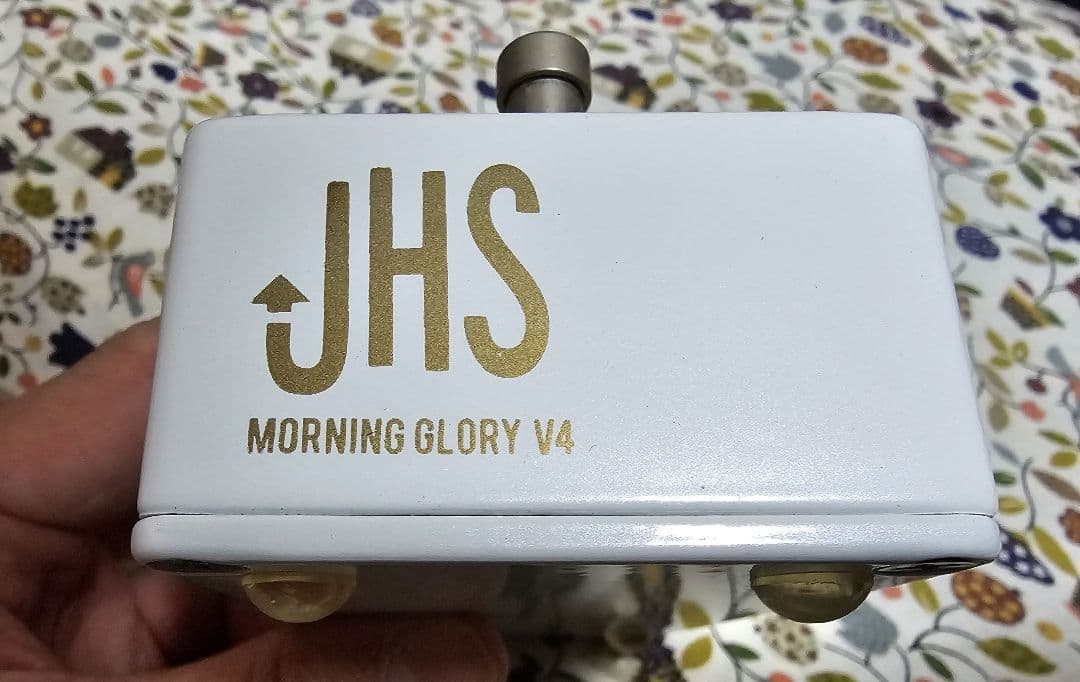 ギター JHS Morning glory v4 pearl gold