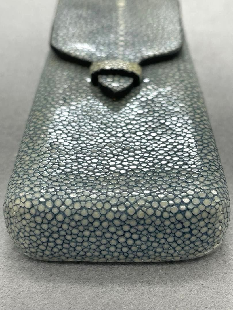 【希少素材•未使用】GANZO ガンゾ スティングレイ ガルーシャ　ペンケース