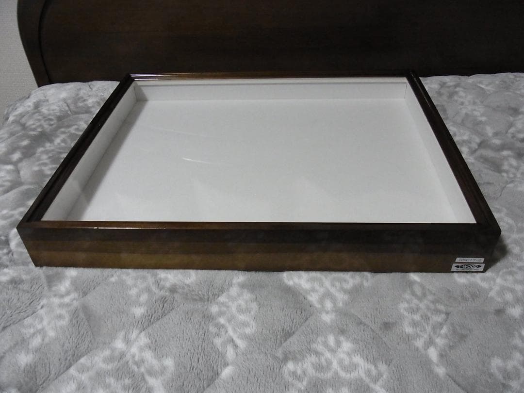 標本箱 T-WOOD 新品 未使用 幅500mm+x高410mm+x厚60mm位