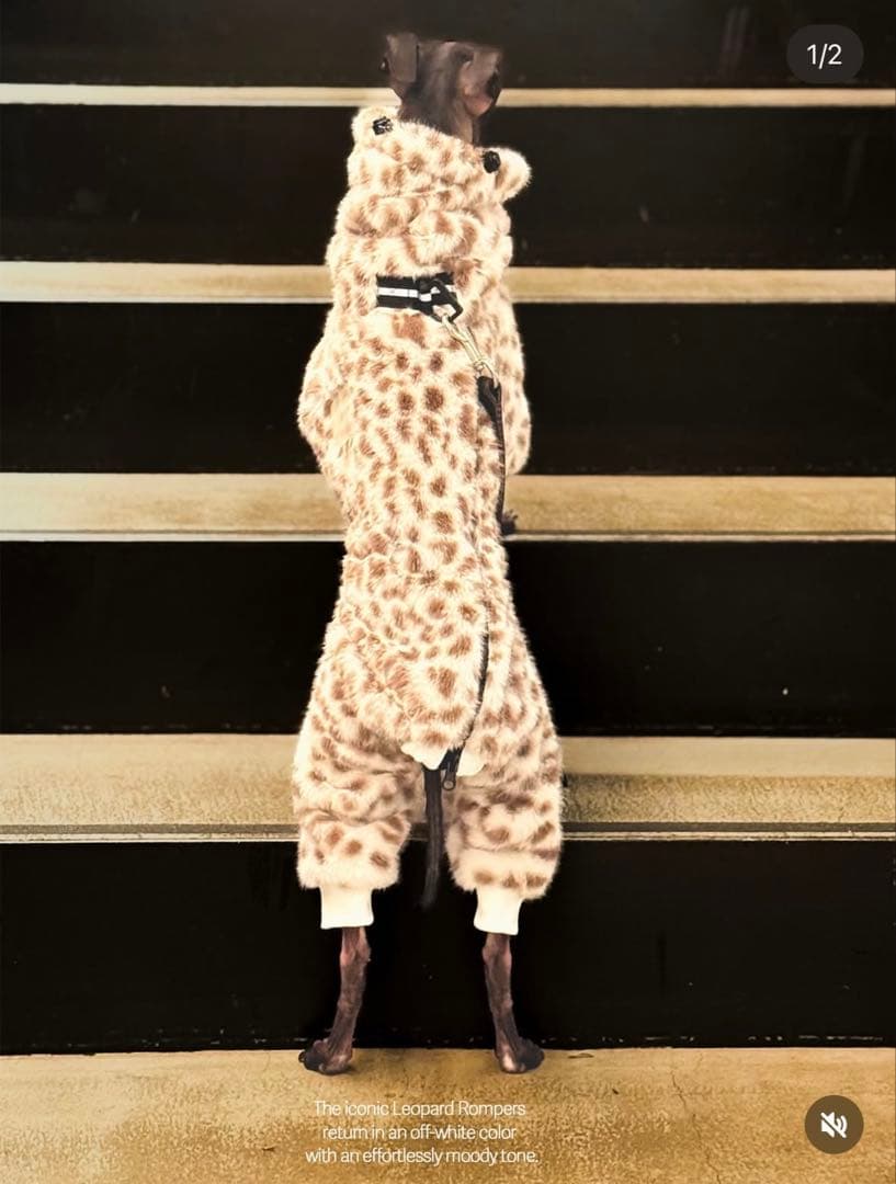 USHH 服 ロンパース イタグレ