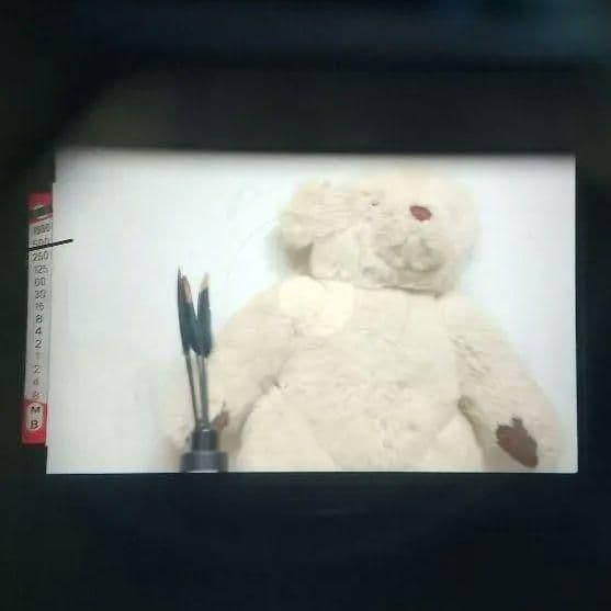 良品 Nikon ニコンFE シルバー 清掃 モルト交換 整備済 光学 極上品