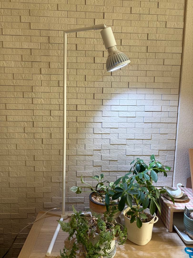 SUSANOO LED スサノオ 10W ライト BARREL ホワイト