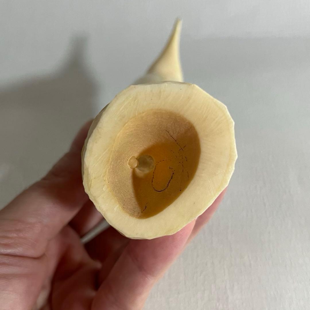 wswgr　歯　ペンギン　置物　マッコウクジラ　蔵出し