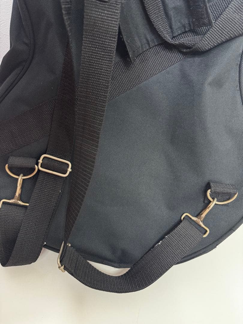 Daisy Rock Guitar エレキギター