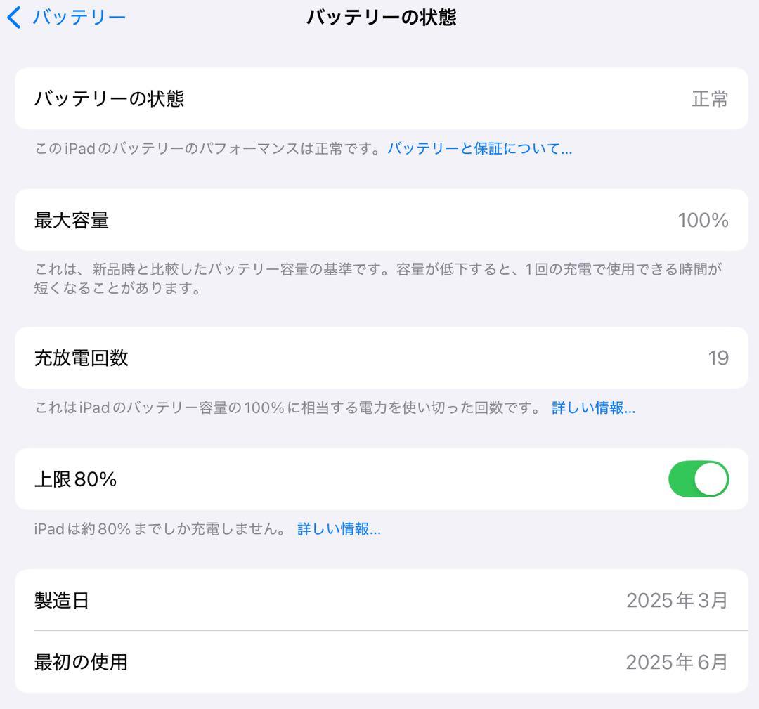 iPad Pro 13インチ M4 1TB セルラーモデル SIMフリー