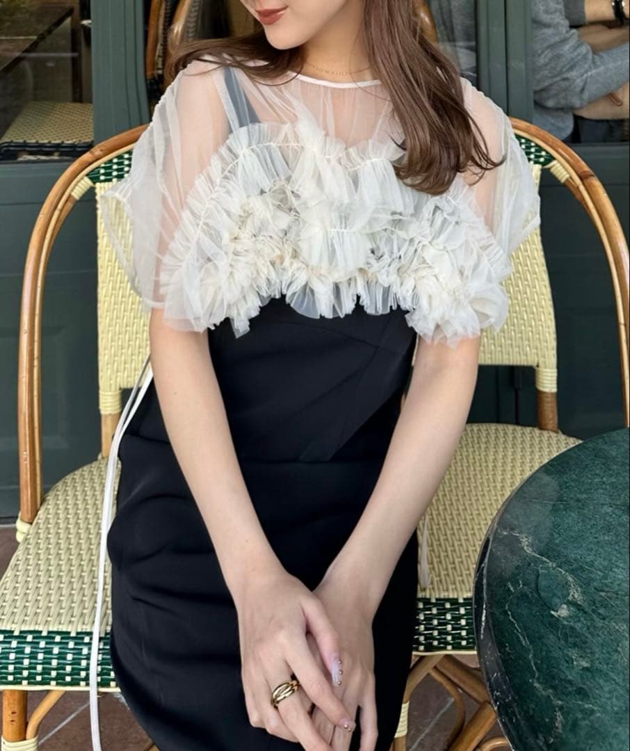 ⚠️値下げしました【ANDRESD】チュールドレス