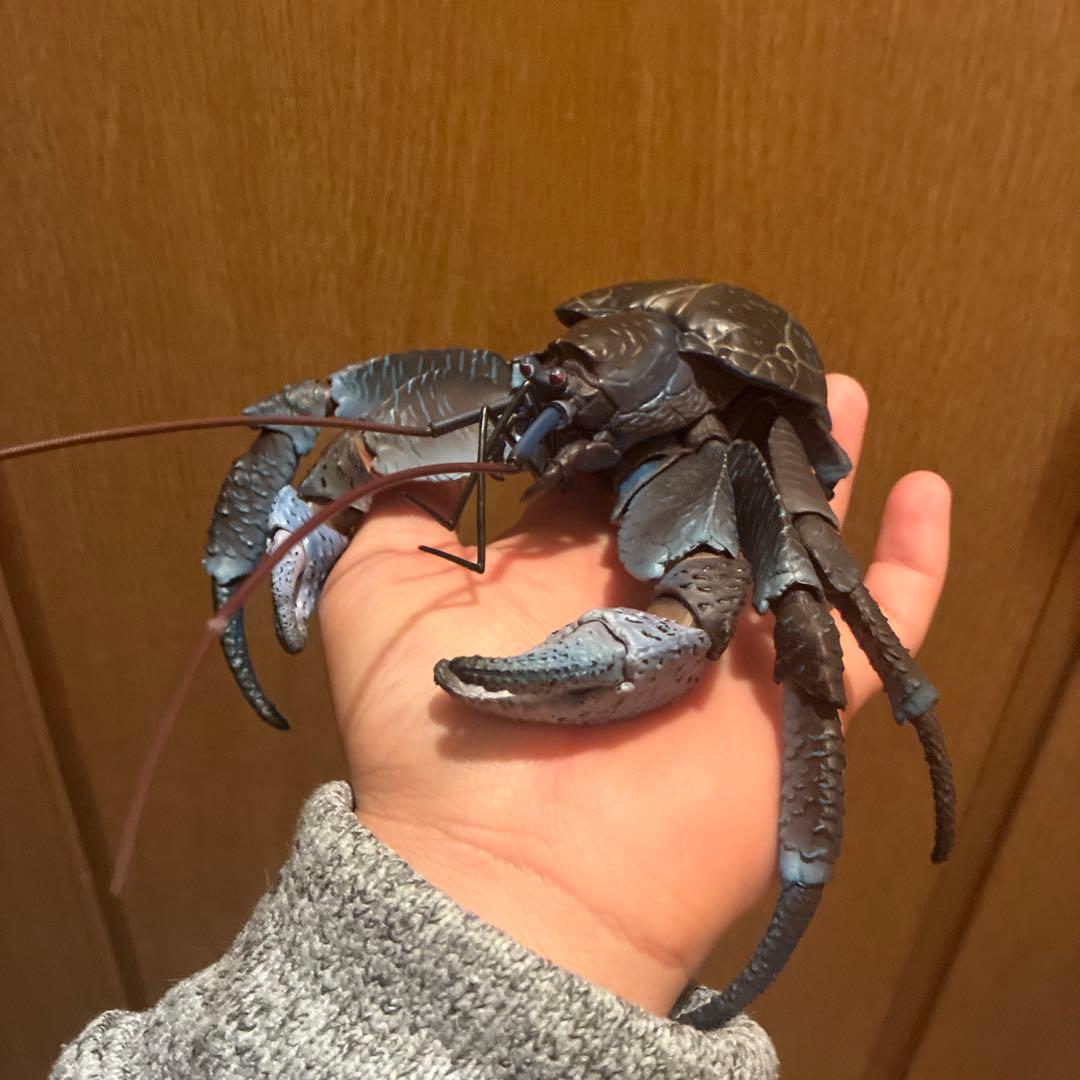 ピ*ノ様 いきもの大図鑑　ヤシガニ