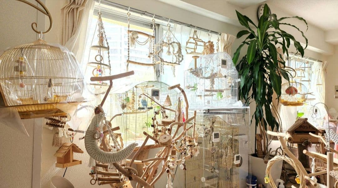 鳥かご ケージ スタンド セット インコ