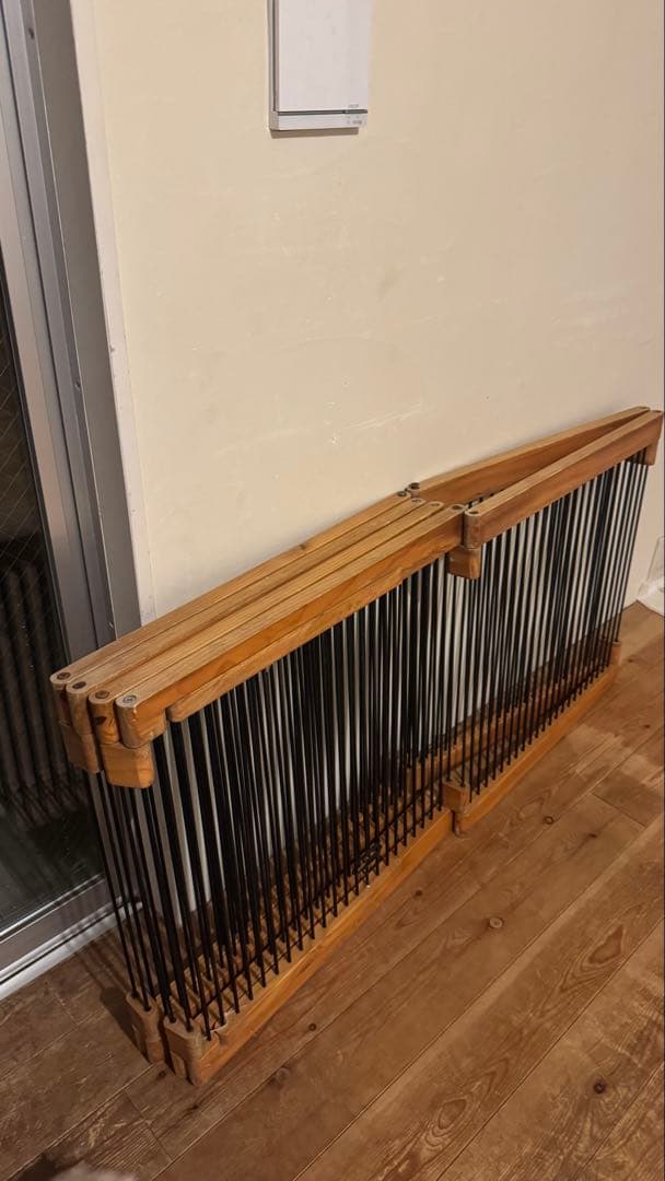 フェレット　メディカル60