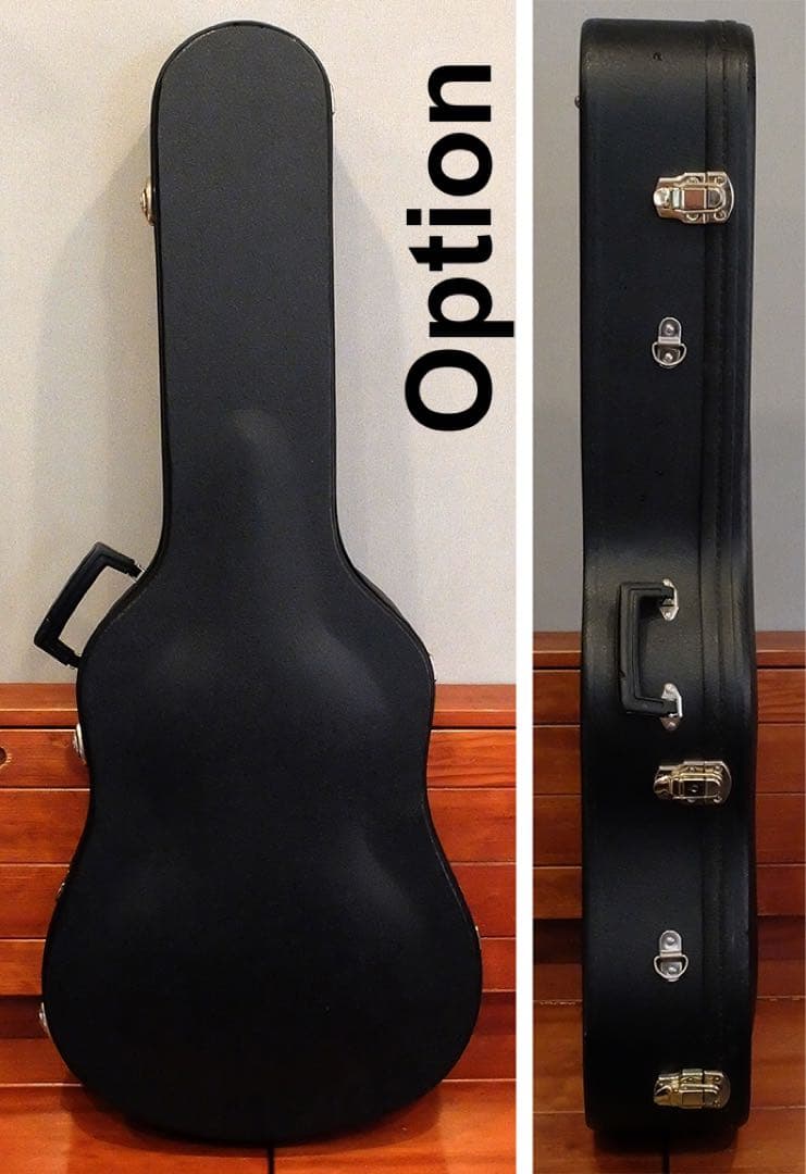 HummingBird W-600 初期超希少 ヴィンテージUSA GLOVER