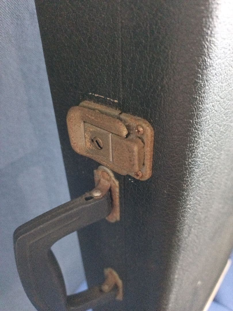 Chatting Bird CAD-630 エレキギター 青緑