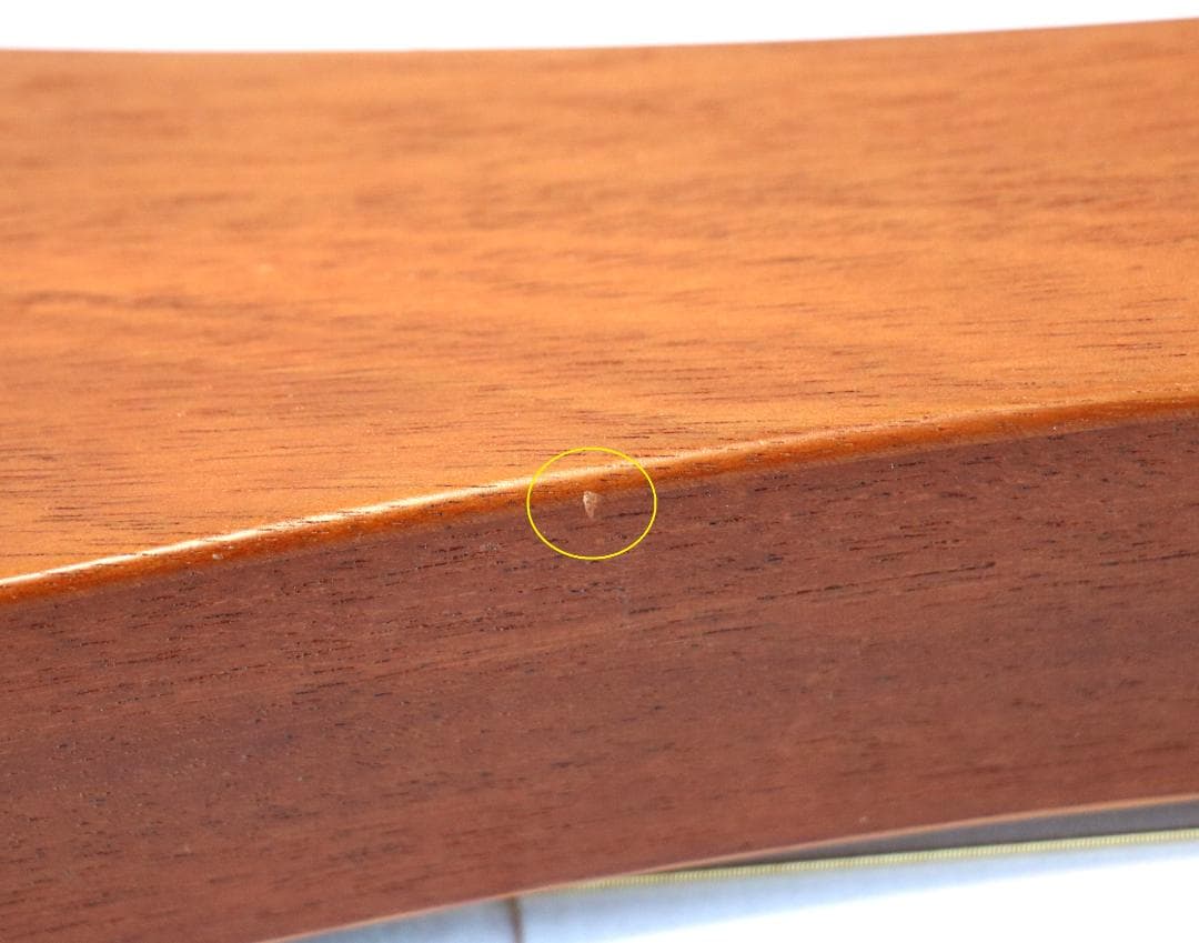 ★マーチンバックパッカーMartinTheBackpackers純正GIGケース