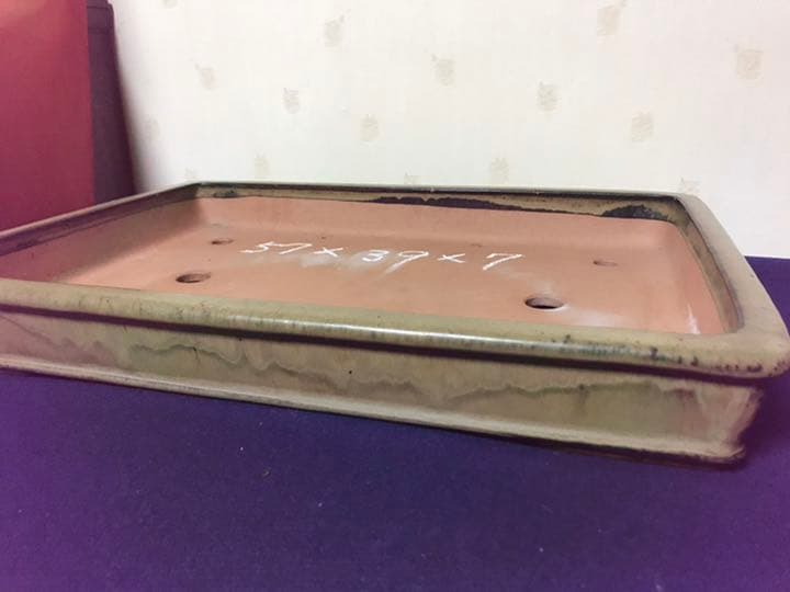 ルンバ君盆栽　盆栽鉢　植木鉢　中国鉢