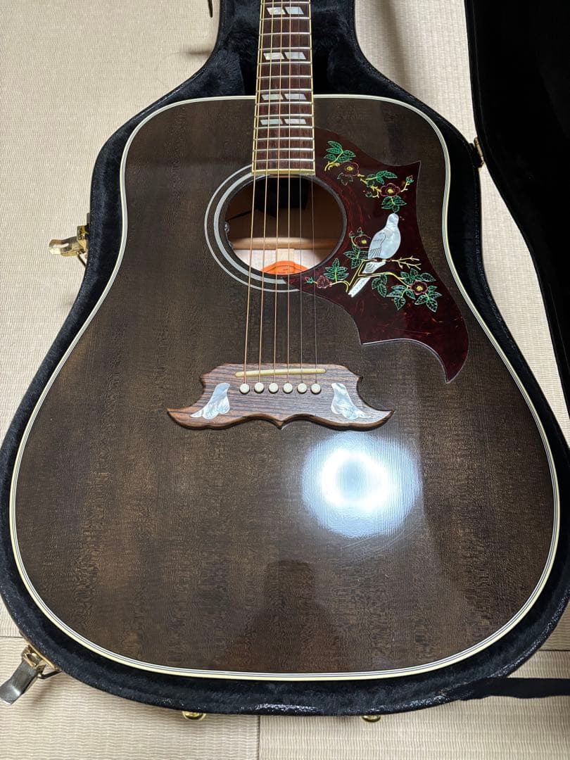 ギター Gibson Acoustic Limited Dove Trans Ebony