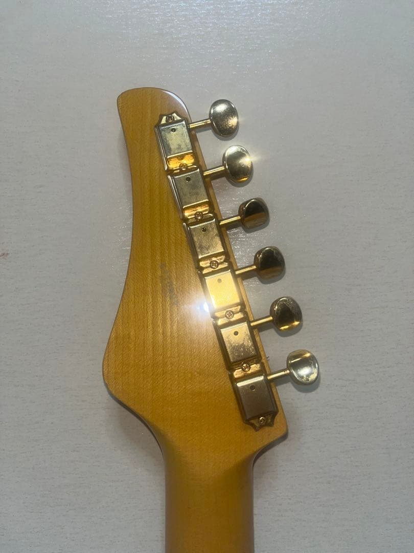 FUJIGEN EOS AL. HSH. エレキギター ハードケース付