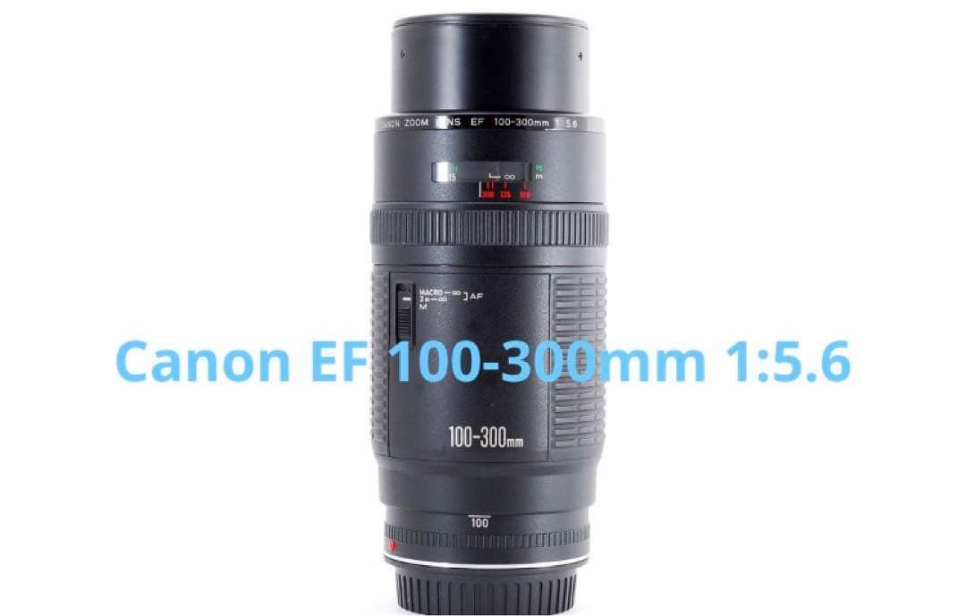 超望遠レンズ☆キャノン☆Canon EF100-300㎜