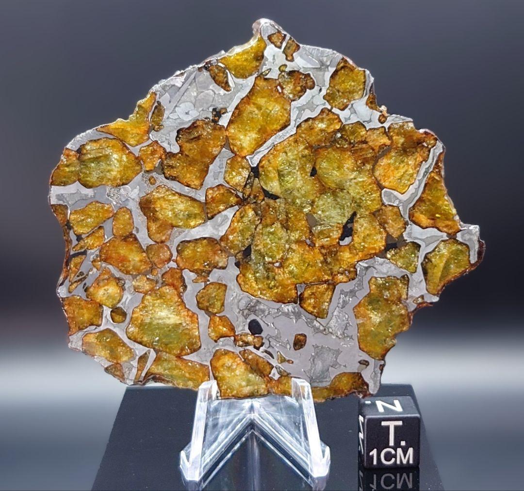 39.65g イミラック パラサイト 隕石 Imilac ⭐