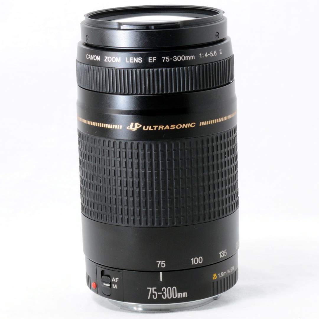 ⭐️良品⭐️Canon キャノン EF 75-300mm F4-5.6ⅡUSM