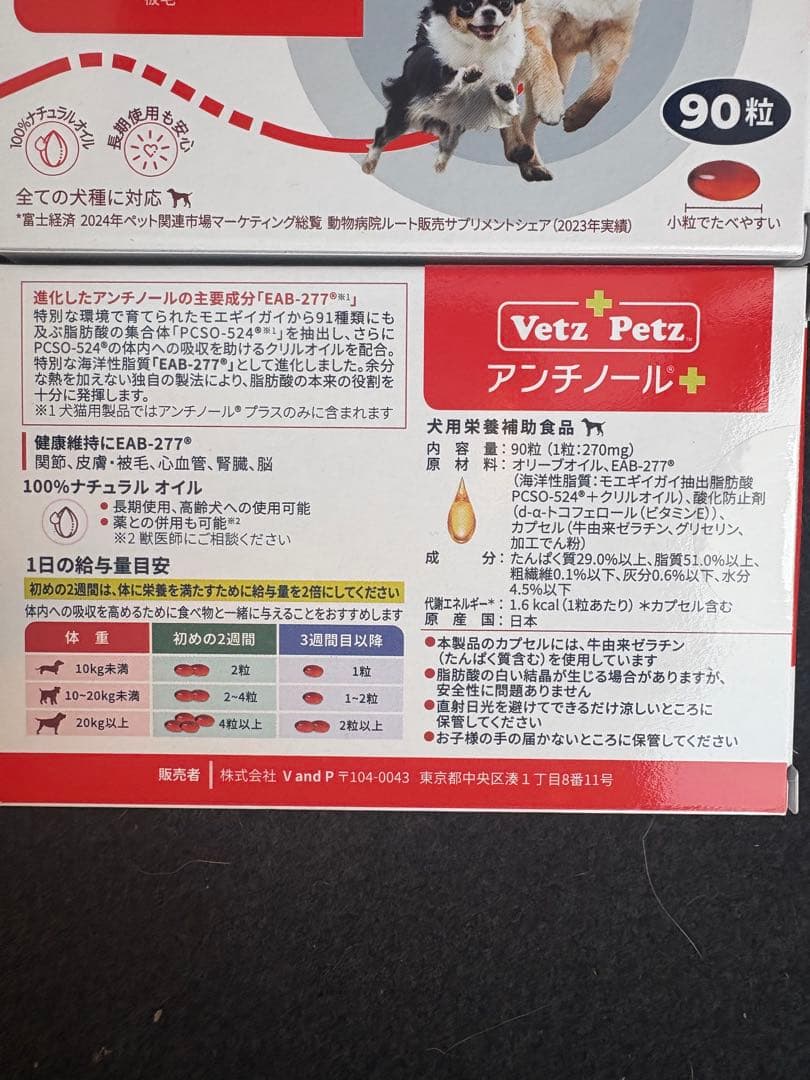 アンチノール 90粒