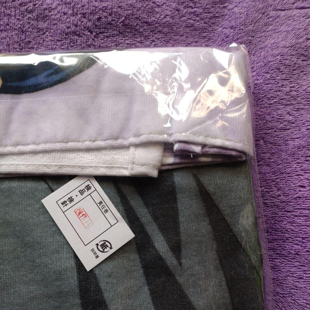 ガンダムSEEDDESTINY、アスラン・ザラバスタオル。