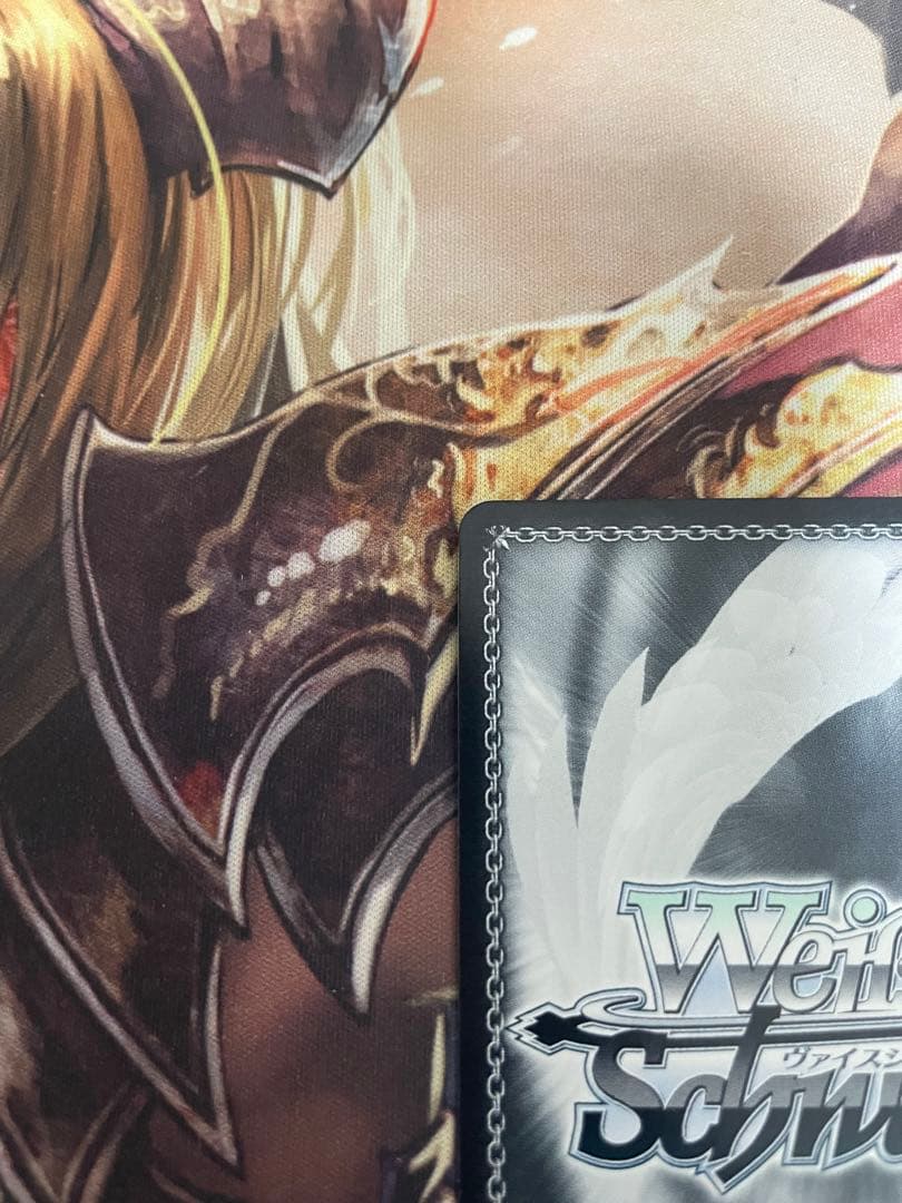 ヴァイスシュヴルツ GGO最強のスナイパー シノン