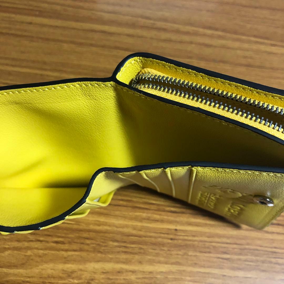 LOEWE トトロ柄 ケース イエロー