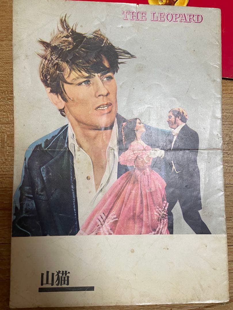 レア映画パンフレット　洋画