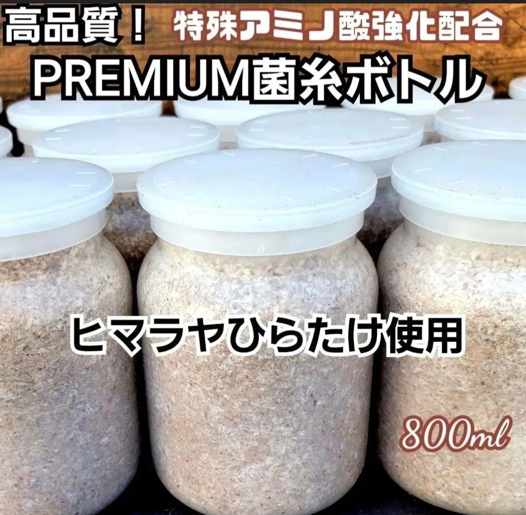 極上！ヒマラヤひらたけ菌糸瓶【１０本セット】トレハロース、キトサン強化配合！