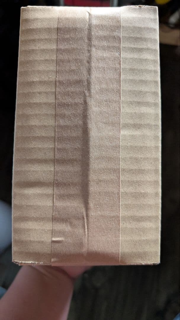 新品未開封！ブラックテール Z400FX BEET JAPAN！