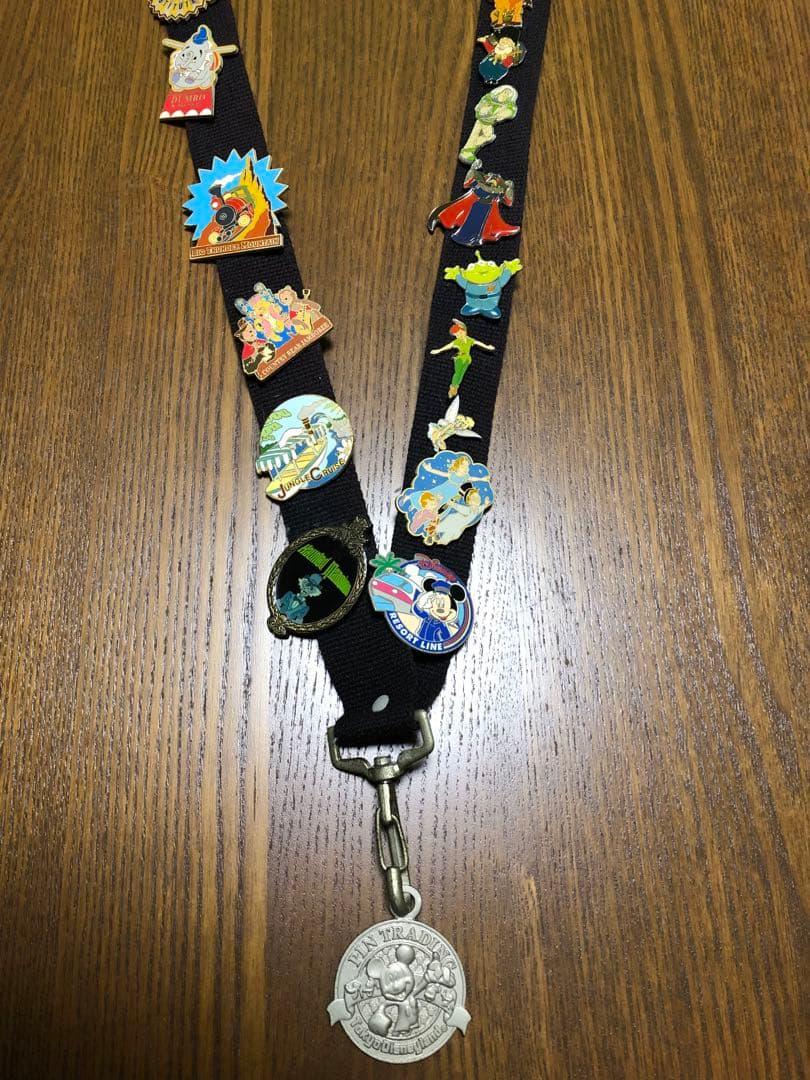 東京ディズニーランド　ピンバッチ27点+専用ストラップ