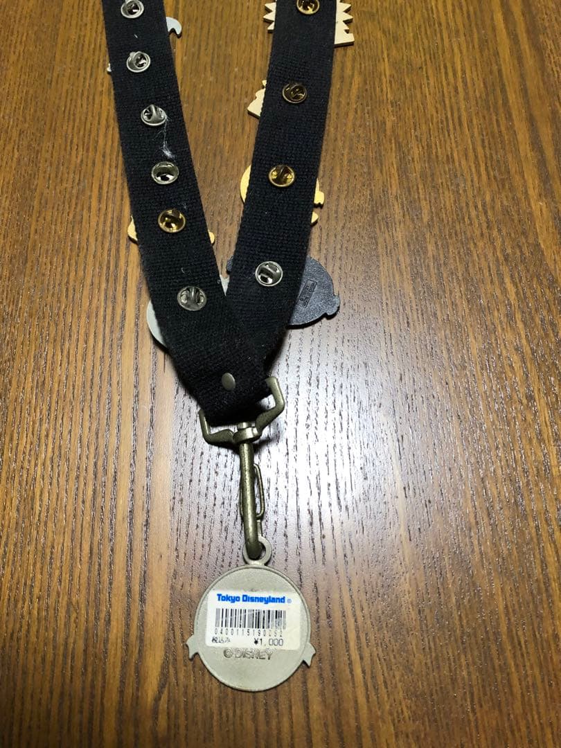 東京ディズニーランド　ピンバッチ27点+専用ストラップ