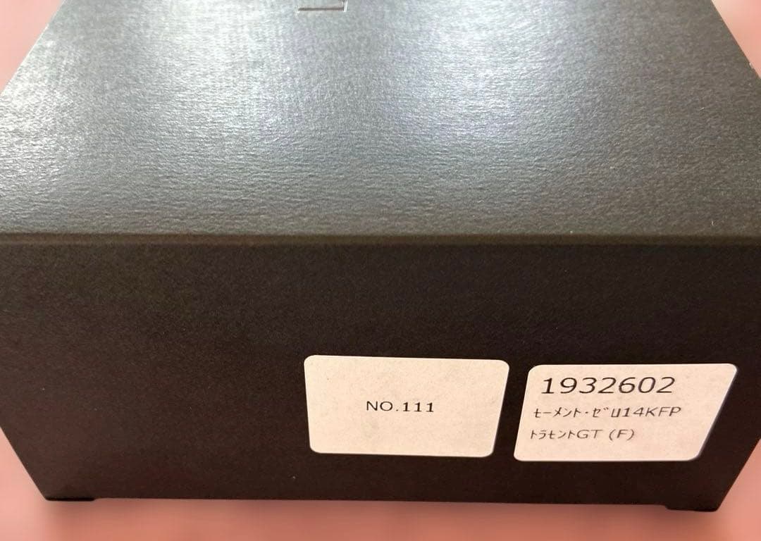 LEONARDO レオナルド モーメントゼロ14KFPトラモントGT 万年筆