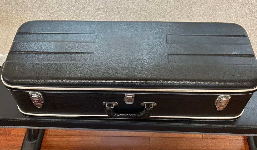 マンドリン 落合忠男1979年　ハードケース付き