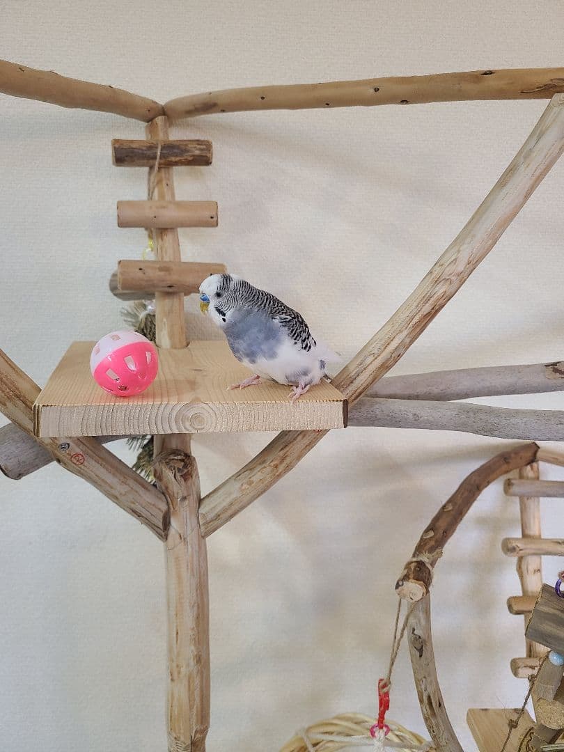 y4gesページ＊　バードアスレチック　ハンドメイド　流木